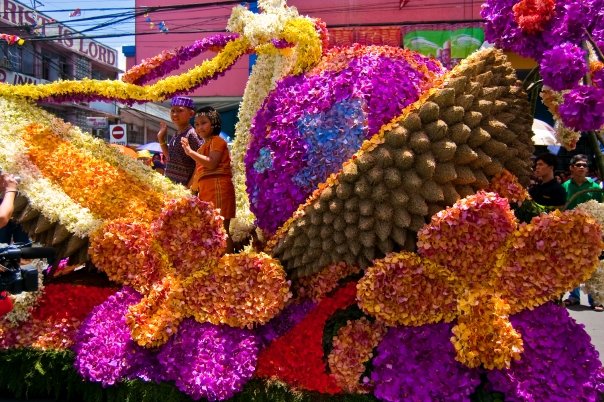 "Floral Float Parade" by John Albert Tolosa